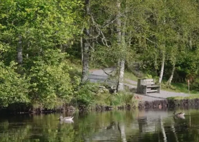 Apartman Luxury Bergen