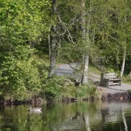 Apartament Luxury Bergen